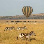 safari balloon east africa camps