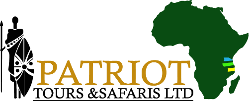 Patriot Tours And Safaris